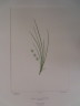 image FDA-E.2916_15_19-2016-A