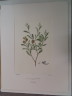 image FDA-E.2916_3_5-2016