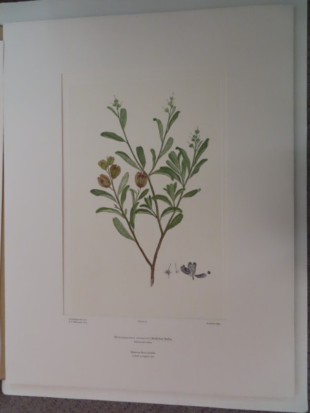 image FDA-E.2916_3_5-2016