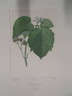 image FDA-E.2916_20_20-2016-A