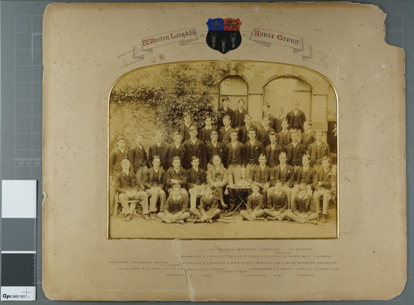 image PA-PHA.1_31-2023