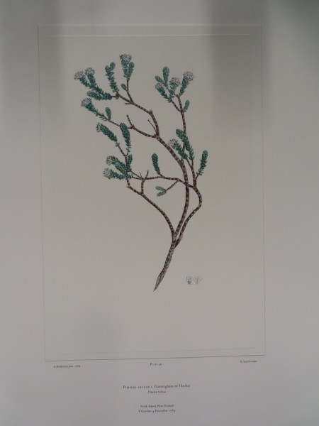 image FDA-E.2916_26_6-2016-A