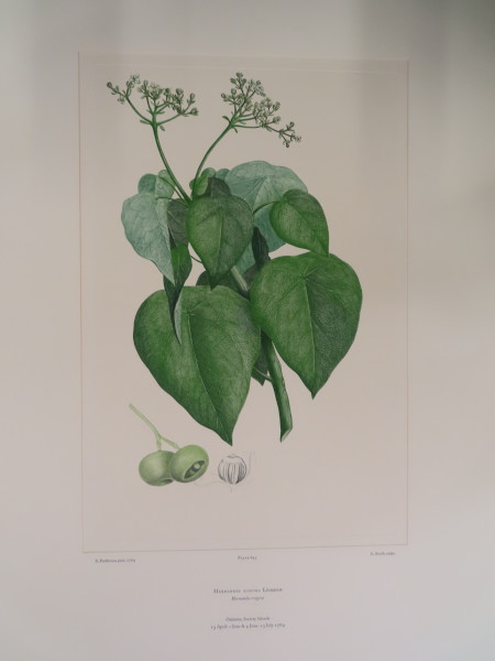 image FDA-E.2916_30_20-2016