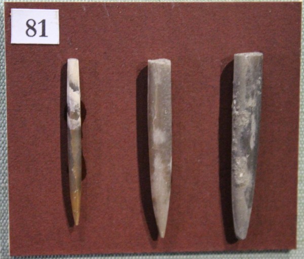 image NHM.542-2017