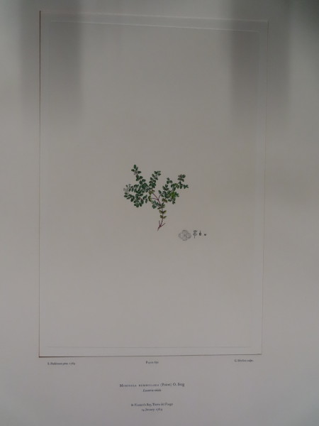 FDA-E.2916_32_22-2016 image FDA-E.2916_32_22-2016