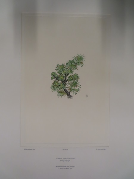 FDA-E.2916_34_9-2016-A image FDA-E.2916_34_9-2016-A