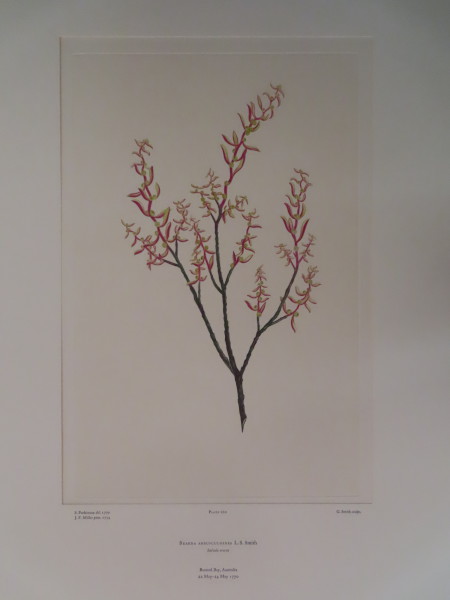 image FDA-E.2916_12_16-2016-A