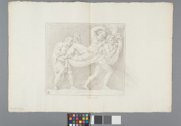 image ECL-Bm.12_63-2013
