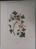 image FDA-E.2916_4_11-2016