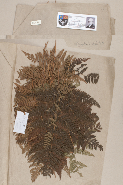 NHM_HH_5.65-2010 image NHM_HH_5.65-2010