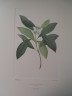 image FDA-E.2916_6_14-2016