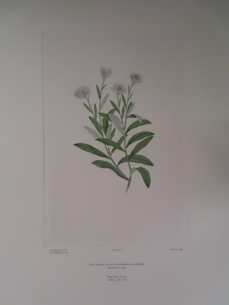 FDA-E.2916_8_14-2016 image FDA-E.2916_8_14-2016