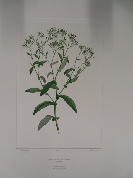 FDA-E.2916_24_4-2016 image FDA-E.2916_24_4-2016