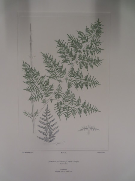 image FDA-E.2916_27_10-2016