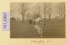 image PA-A.37_457-2012