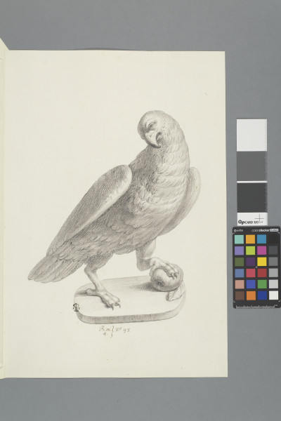 image ECL-Bm.4_93-2012