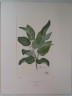 image FDA-E.2916_2_6-2016-A