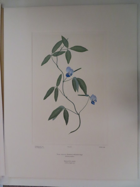 image FDA-E.2916_4_16-2016