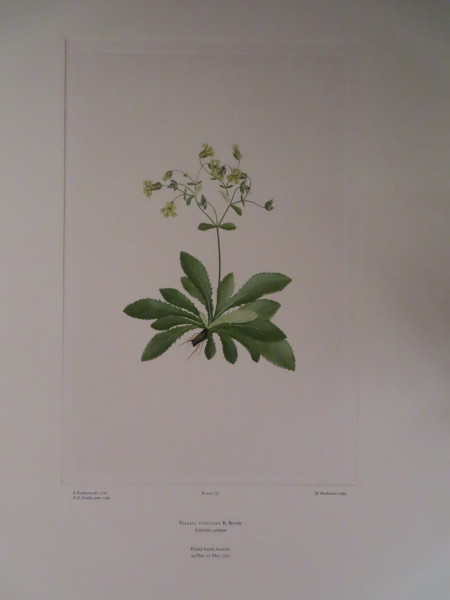FDA-E.2916_8_24-2016 image FDA-E.2916_8_24-2016
