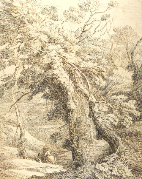 image FDA-D.504-2010