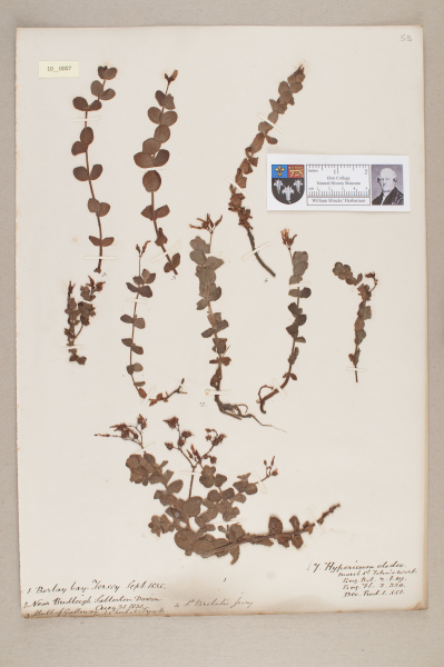 image NHM_HH_10.7-2010