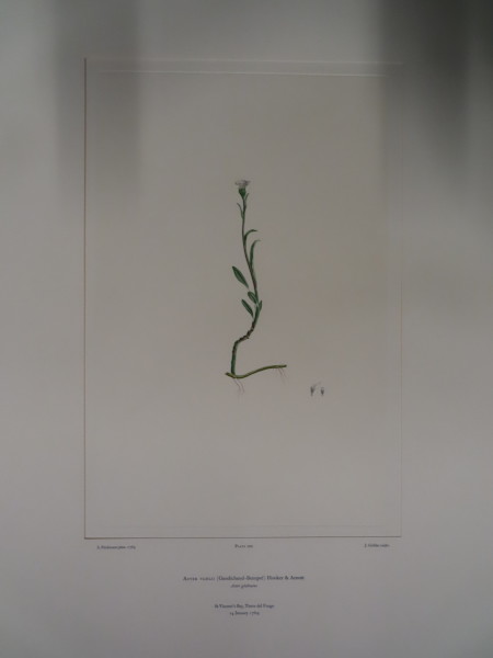 image FDA-E.2916_33_11-2016-A