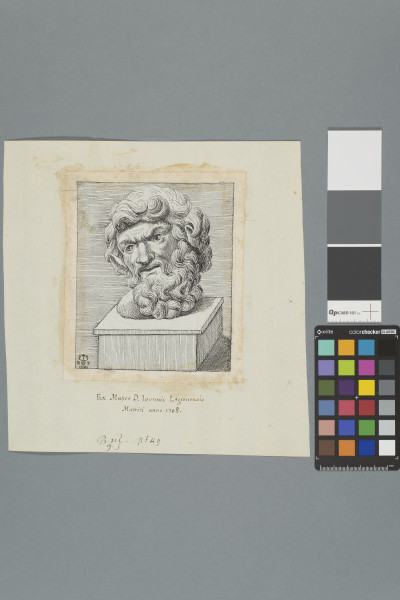 image ECL-Bn.9_49-2013
