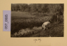 image PA-A.37_85-2012