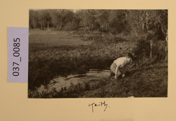 image PA-A.37_85-2012