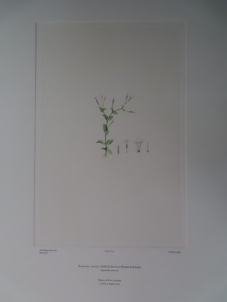 image FDA-E.2916_10_20-2016