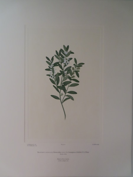 image FDA-E.2916_2_12-2016-A