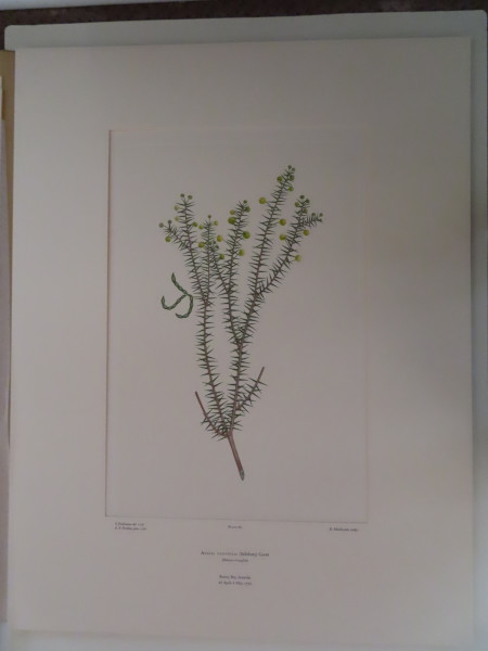 image FDA-E.2916_4_22-2016