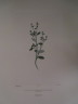 image FDA-E.2916_8_6-2016-A