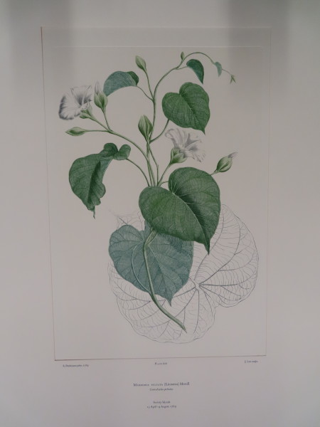 image FDA-E.2916_29_23-2016-A