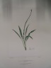 image FDA-E.2916_33_16-2016-A