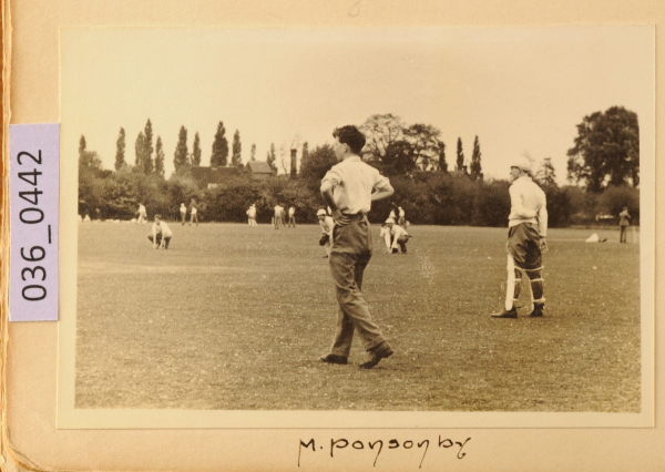 image PA-A.36_442-2012