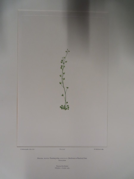 image FDA-E.2916_21_17-2016