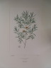 image FDA-E.2916_6_7-2016-A