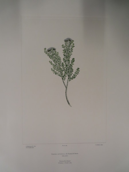 FDA-E.2916_23_18-2016 image FDA-E.2916_23_18-2016
