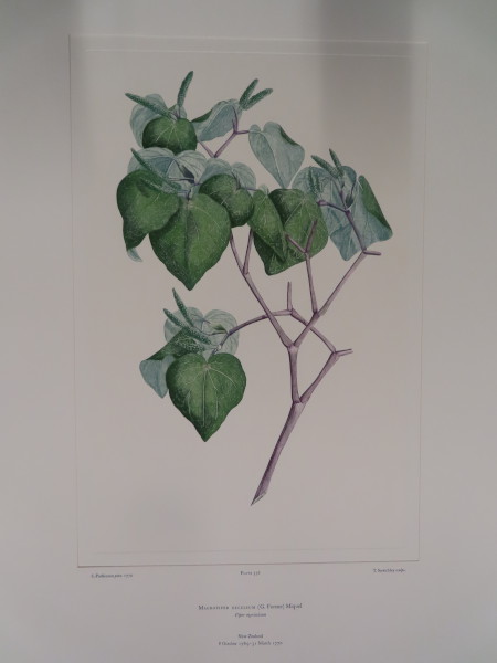 image FDA-E.2916_25_24-2016-A