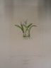 image FDA-E.2916_31_18-2016-A