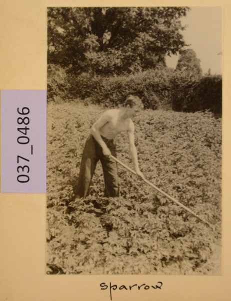 image PA-A.37_486-2012