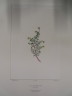 image FDA-E.2916_33_20-2016