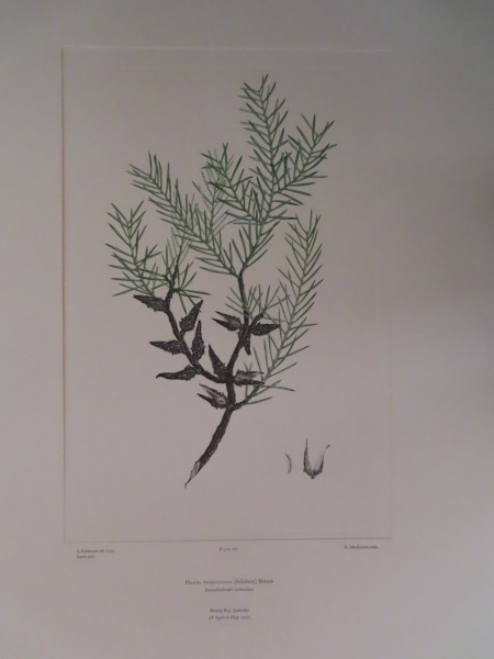 image FDA-E.2916_13_14-2016-A