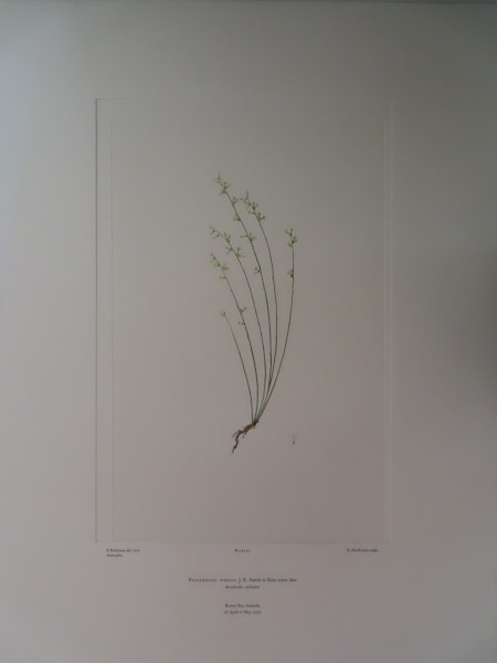 FDA-E.2916_2_22-2016-A image FDA-E.2916_2_22-2016-A