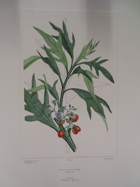 FDA-E.2916_25_5-2016 image FDA-E.2916_25_5-2016