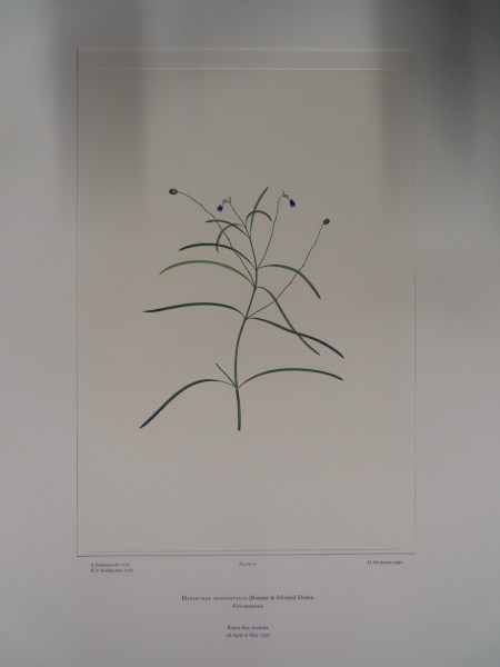 image FDA-E.2916_1_14-2016-A