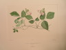 image FDA-E.2916_28_19-2016