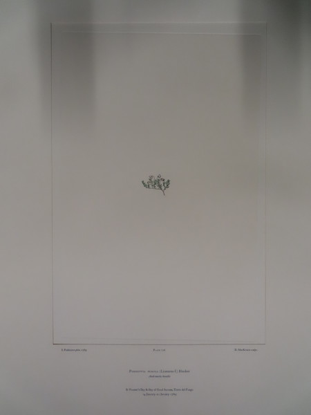 FDA-E.2916_33_25-2016 image FDA-E.2916_33_25-2016