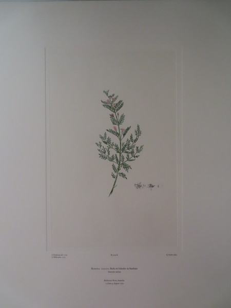image FDA-E.2916_2_9-2016-A
